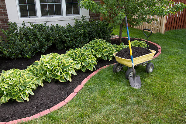 How to mulch